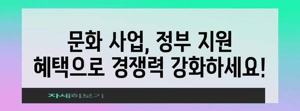 정부 정책 활용법 | 문화 산업 활성화를 위한 지원