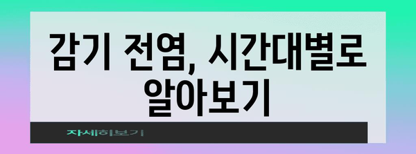 감기 전염 과정 시간대별 안내서