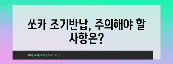 쏘카 조기반납 가이드! 쉽고 빠르게 반납하세요