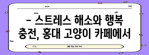 홍대에서 만나는 힐링 공간 | 고양이 카페 추천