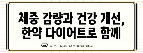 건강한 한약 다이어트 가이드 | 체중 관리부터 식습관 개선까지