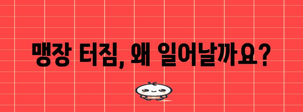 맹장 터짐 주요 원인 파악하기 | 충수염과 응급 수술 이해