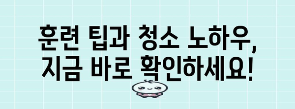 아기 고양이 화장실 훈련 비결 | 성공 전략과 청소 팁