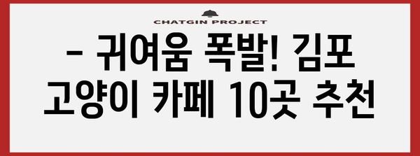 김포 고양이 카페 탐방 | 냥덕후 필수 방문 10곳