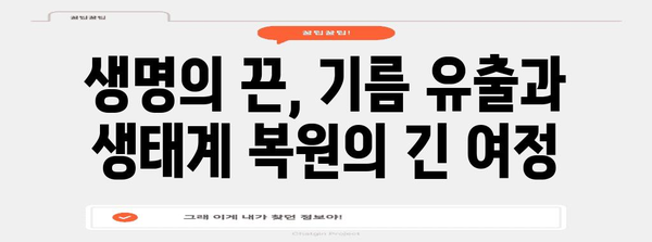 태안 기름 유출 사고| 10년 후, 우리가 기억해야 할 것들 | 기름 유출, 환경 재해, 해양 오염, 생태계 복원
