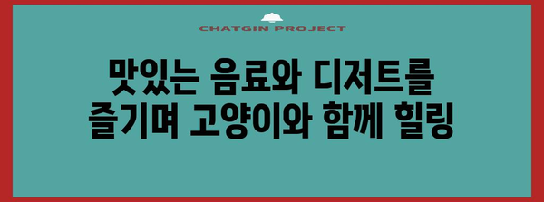 일산 고양이 파라다이스 | 냥이놀이터 카페