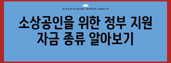 정부 지원 활용하기 | 소상공인을 위한 자금 옵션