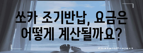 쏘카 조기반납 가이드! 쉽고 빠르게 반납하세요