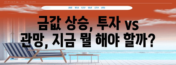 금값 상승 | 투자 기회 vs 관망, 전문가의 통찰력