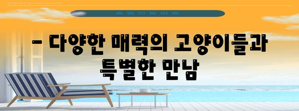 김포 고양이 카페 탐방 | 냥덕후 필수 방문 10곳