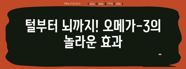 강아지 건강 필수품 | 오메가-3 선택 가이드로 긍정적인 변화