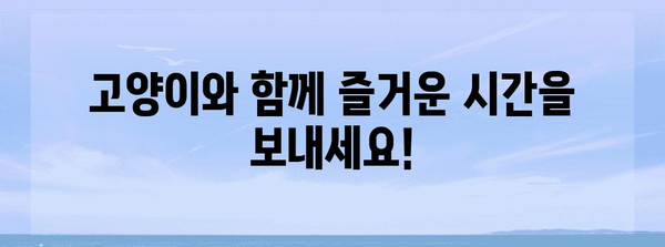 일산 고양이 파라다이스 | 냥이놀이터 카페