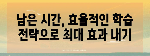 수능 벼락치기 성공 전략| 시간 분배부터 효율적인 학습법까지 | 수능, 벼락치기, 마지막 기회, 시간 관리, 효율 학습