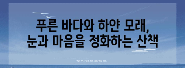 영흥도 숨겨진 보석 | 십리포해수욕장 산책로 힐링 산책