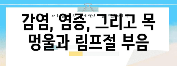 목 멍울과 림프절 부음의 원인 파헤치기