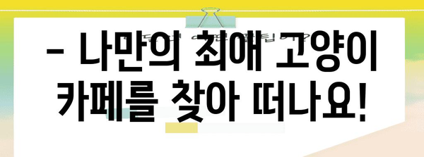 김포 고양이 카페 탐방 | 냥덕후 필수 방문 10곳
