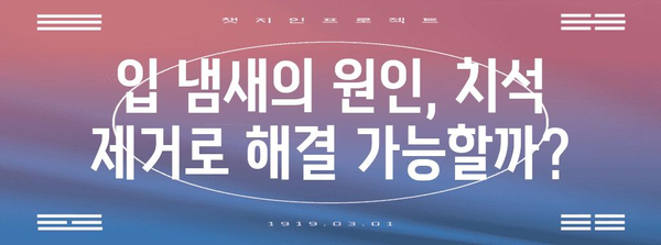 입냄새 원인 밝히기 | 치석과 잔류 음식물이 입김 악취의 주범