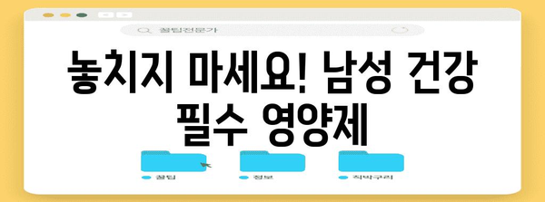 남자건강 필수 영양제 완벽 가이드 | 건강을 지키는 비타민과 미네랄