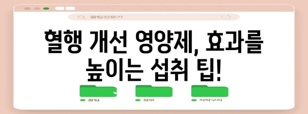 혈행 개선 영양제 섭취 가이드 | 기적의 향상