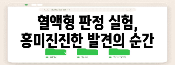 혈액형 판정 실험 후기 | 과학적 탐구와 깨달음