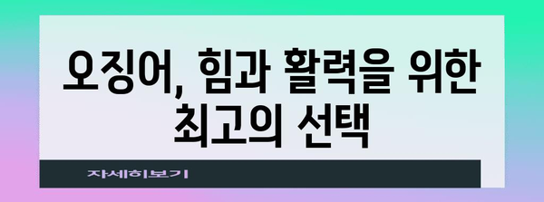 아르기닌 파워 | 오징어에 숨겨진 놀라운 효능