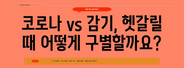 코로나 증상과 감기 구별 가이드! 키트 활용법 포함