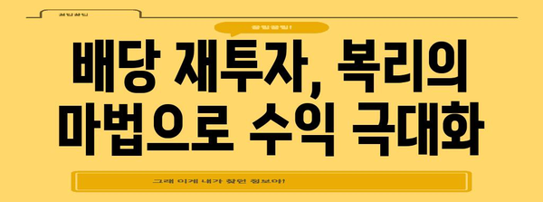 배당킹 ETF 배당금 수익 최적화
