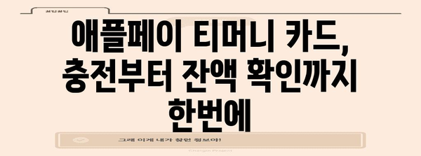 애플페이 티머니 교통카드 완벽 유익 | 등록부터 사용법까지