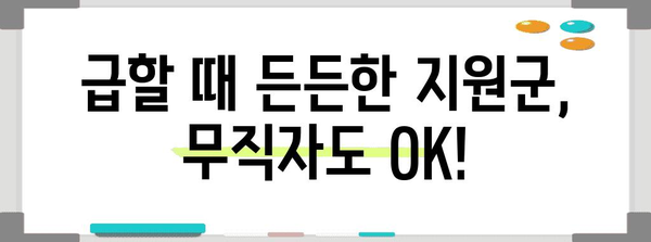 비상금 대출 | 무직자도 이용 가능한 손쉬운 옵션