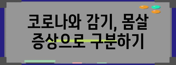 코로나 vs 감기 | 몸살 증상 비교 및 자가 진단 팁