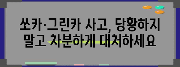 쏘카 그린카 사고 후기와 보상 상세 가이드