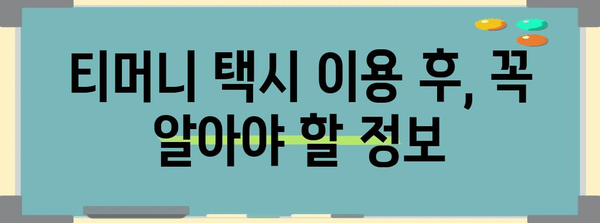 티머니 택시 이용 완벽 가이드! 영업 시간부터 분실물 처리까지