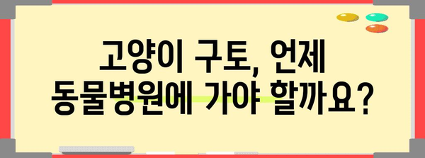 고양이 구토 원인 추적 가이드 | 위장병? 털뭉치? 알아보기 (검색어 | 고양이 구토)