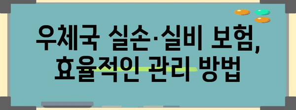 우체국 실손 및 실비 보험 가입 완벽 가이드