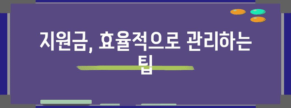 정부 지원 사업자 금융 관리 전략