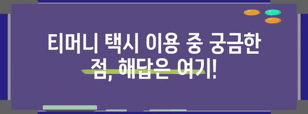 티머니 택시 이용 완벽 가이드! 영업 시간부터 분실물 처리까지
