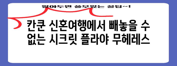 칸쿤 신혼여행에서 빼놓을 수 없는 시크릿 플라야 무헤레스