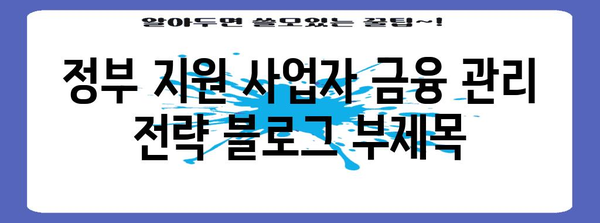 정부 지원 사업자 금융 관리 전략