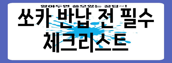 쏘카 반납 완벽 가이드 | 지연과 조기 대비 팁