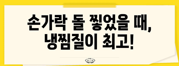 캠핑 중 손가락 돌 찧었을 때의 응급 대처법