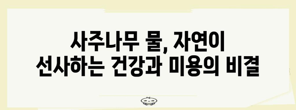 사주나무물의 비밀 | 건강과 미용을 위한 자연의 선물