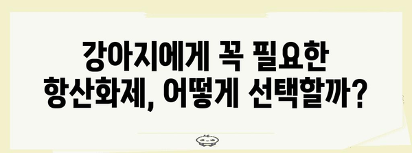 강아지 면역력 업! 항산화제로 건강하게 키우기