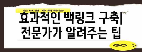 Google 상위 노출을 위한 백링크 전략 | 전문가 가이드