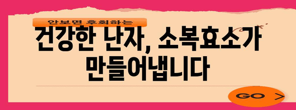 임신 준비 필수인 소복효소의 중요성
