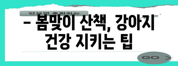 봄철 안전한 강아지 산책, 주의사항 5가지