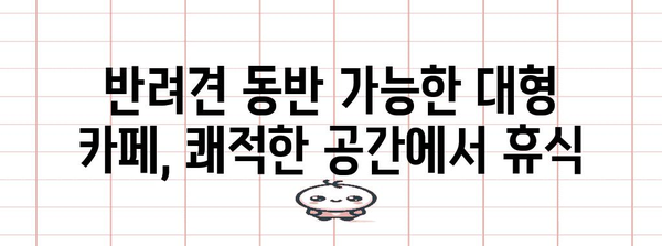 대전 반려견 동반 대형 카페 | 편안한 공간에서 보내는 즐거운 시간