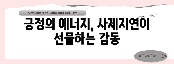 사제지연 연세대학교 행사의 감동과 의미