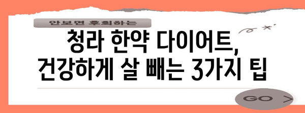 청라 한약 다이어트 성공 비결 | 요요 현상 방지 3가지 팁