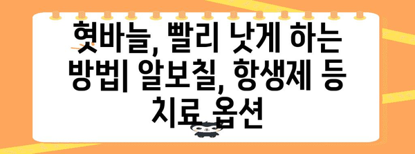 혓바늘 원인과 치료법 | 항생제, 알보칠 등 다양한 옵션