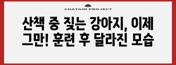 강아지 짖음 해결책! 산책훈련 후기 공개